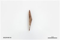 藏品(魚卡子)的圖片